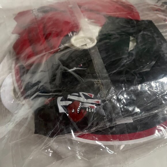 Toronto Raptors Basketball Party Kit - Picture 8 of 9